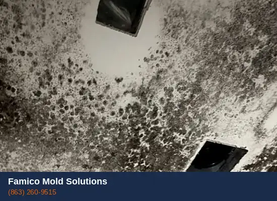 Water damage and mold growth in a Haines City FL home after storm flooding