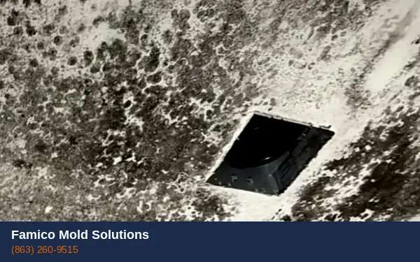 HVAC vent mold removal in Haines City FL